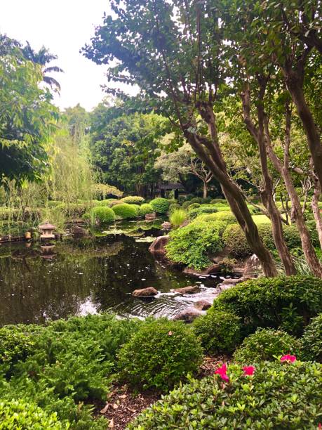 istock Japanese garden 1320924615