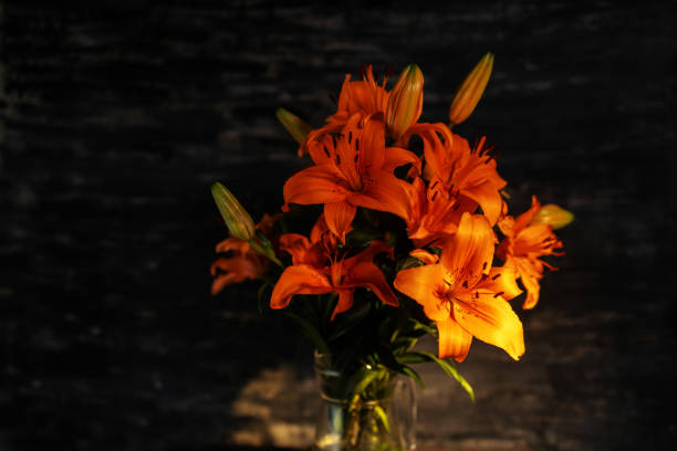 beautiful orange lily blossom