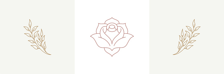 Rose tender natural blossom and twigs with blooming flower in boho linear style vector illustrations set. Bohemian emblems in golden lines feminine symbols for cosmetic design and gardering logo