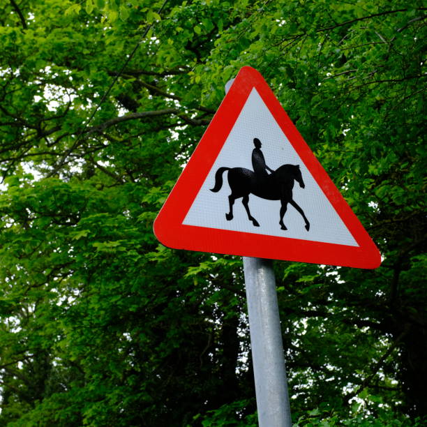 istock Sign warning of horses on the road 1320926556