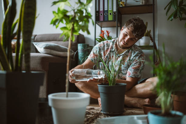 istock Young man planting flowers at home. 1320932621