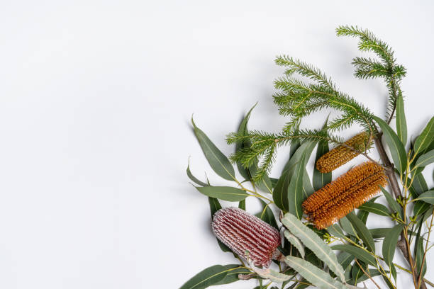 istock Beautiful rustic Australian native flat lay flower arrangement. 1320932707