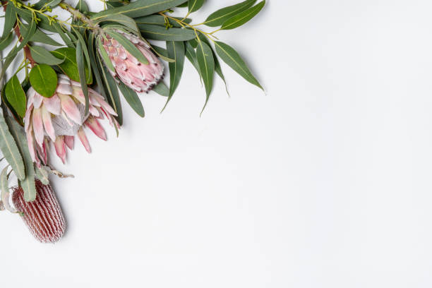istock Beautiful flat lay Australian native flowers arrangement. 1320932749