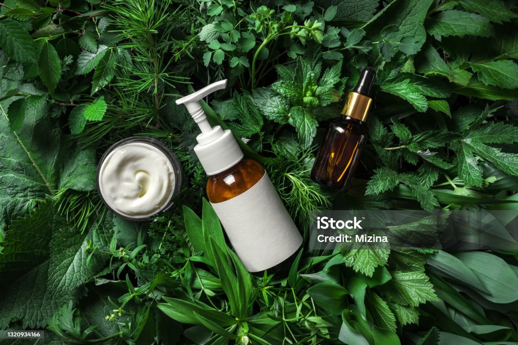 Cosmetic skin care products on green leaves Cosmetic skin care products (body lotion, hair shampoo, face creme, essencial oil, serum) on green leaves as background, top view. Natural eco beauty and organic green skin care concept. Make-Up Stock Photo