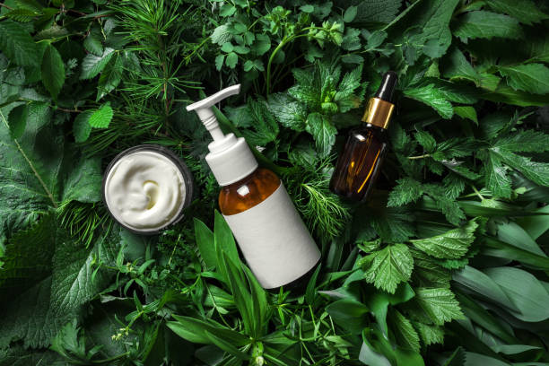 Cosmetic skin care products on green leaves Cosmetic skin care products (body lotion, hair shampoo, face creme, essencial oil, serum) on green leaves as background, top view. Natural eco beauty and organic green skin care concept. body care photos stock pictures, royalty-free photos & images