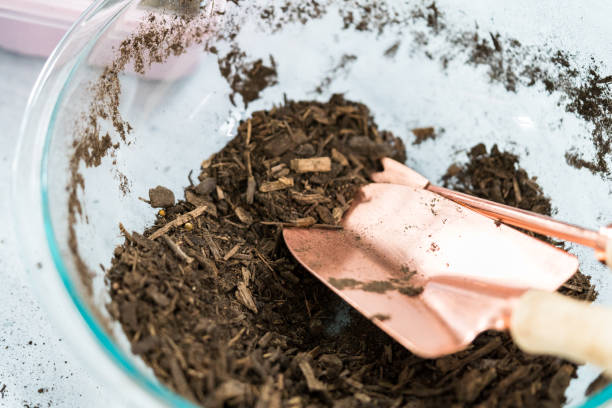 istock Planting seeds into seed starter tray for an indoor garden. 1320934240
