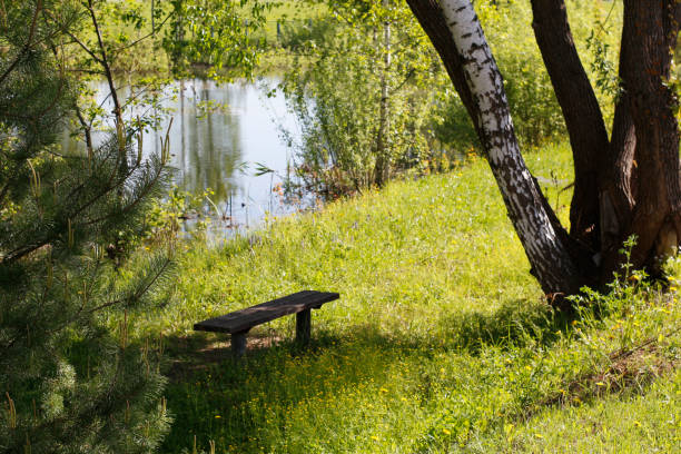 istock Beautiful nature. A wooden bench with no one on it. 1320934590