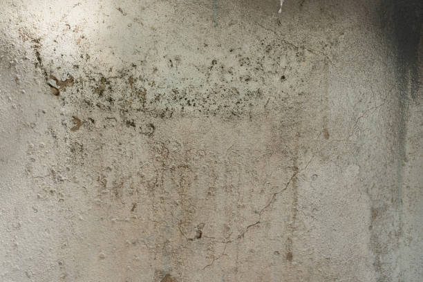istock background texture of the old concrete wall 1320937628
