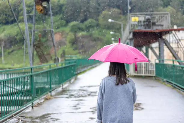 Photo of Back view of a girl under an umbrella on a walk in the rain.