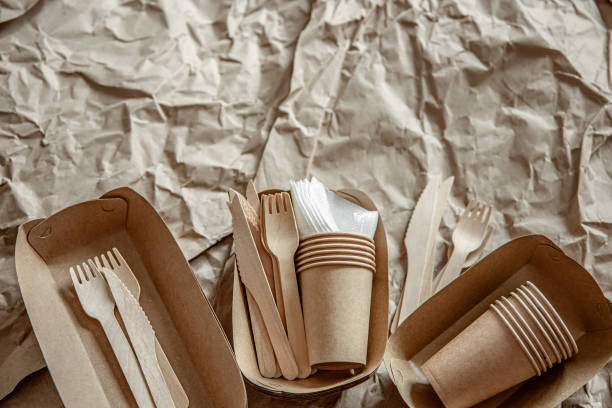 istock Composition with disposable ecological dishes and cutlery copy space. 1320940923