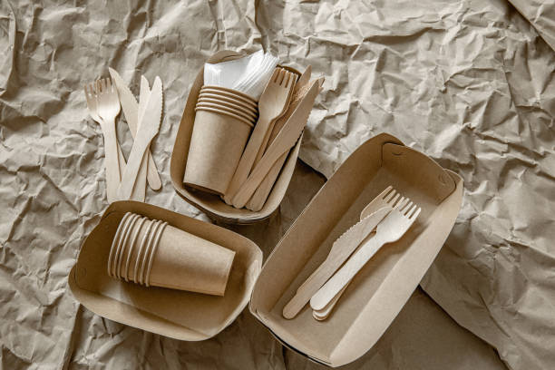 istock Composition with disposable ecological dishes and cutlery. 1320940929