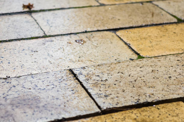 istock Wet paving slabs shine after rain, closeup 1320941580