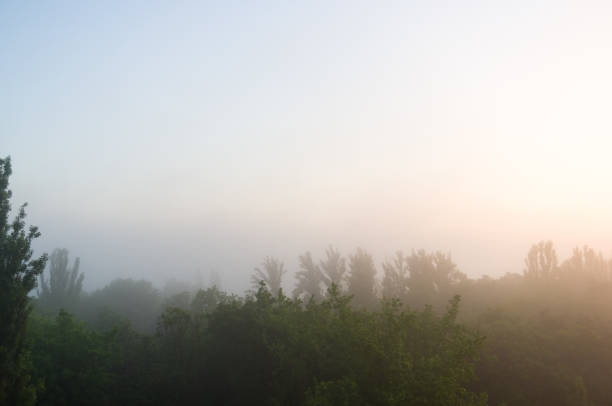 Spring city landscape - morning fog, green trees and sky with clouds