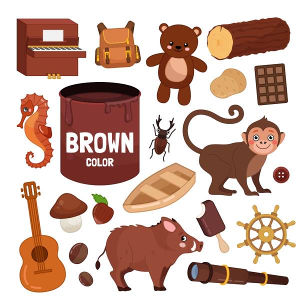 Vector set of brown color objects. Vector set of brown color objects. Learn brown color. Illustration of primary colors."n the boar fish stock illustrations