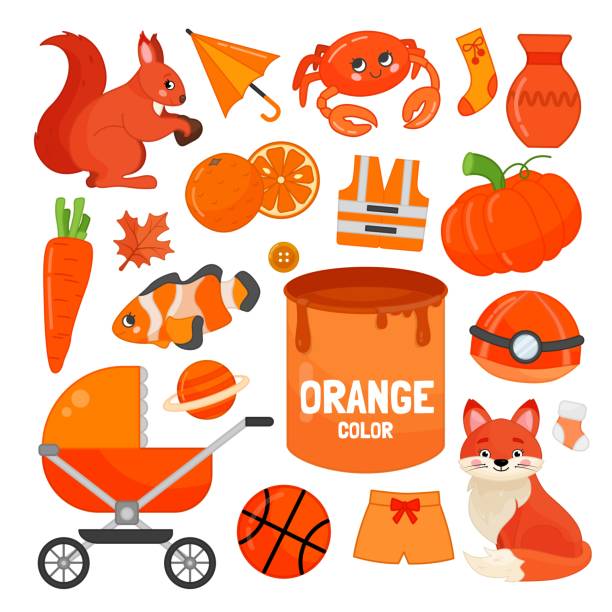 ilustraciones, imágenes clip art, dibujos animados e iconos de stock de conjunto vectorial de objetos de color naranja. - vegetable basket