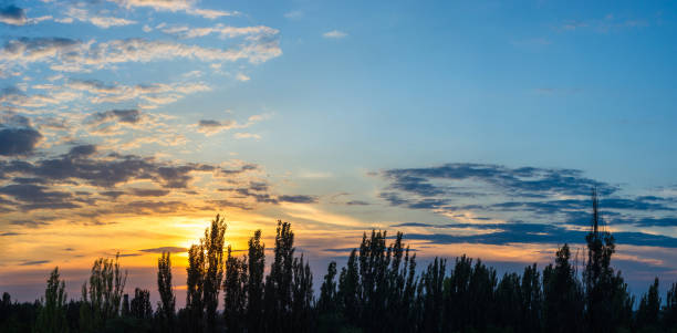 Landscape with dramatic light - beautiful golden sunset with saturated sky and clouds, peaceful nature serene background.