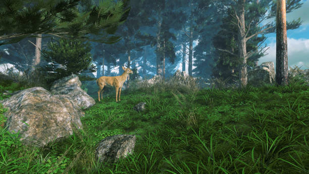 istock Woodland landscape with young deer on forest edge 1320949335