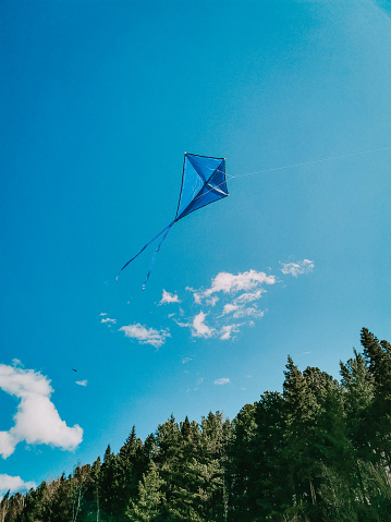 A blue kite soars in the sky. The concept of freedom, summer hobbies, entertainment in nature. Minimalism, space for text, shades of blue.
