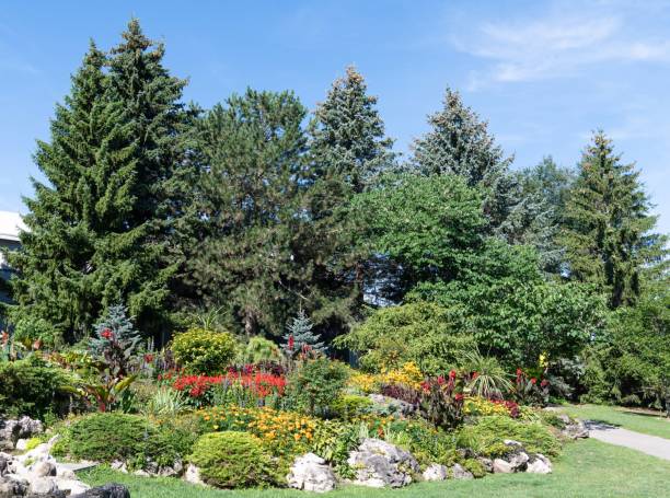 istock Flowers snd trees in the park 1320952088