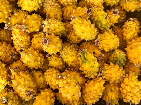 Horizontal close up flat lay of a group of fresh picked organic small yellow dragonfruit