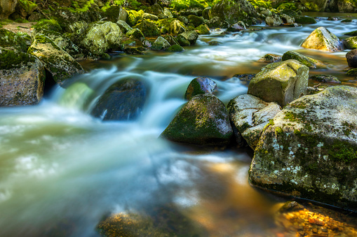 beautiful mountain stream in the Karkonosze (Krkonoše, Giant Mountains) mountains