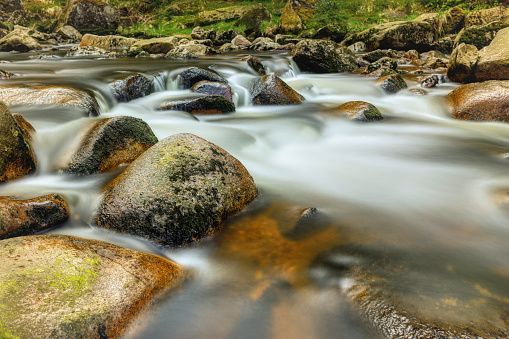 beautiful mountain stream in the Karkonosze (Krkonoše, Giant Mountains) mountains