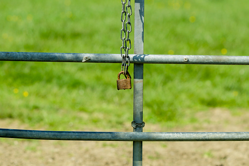 Rusty old padlock hanging on a steel chain securing a metal farm gate in England for security