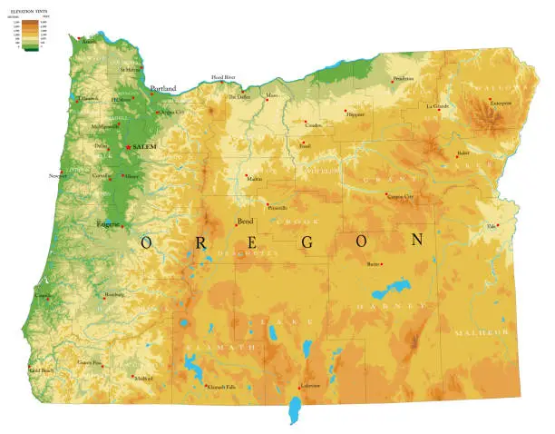Vector illustration of Oregon physical map