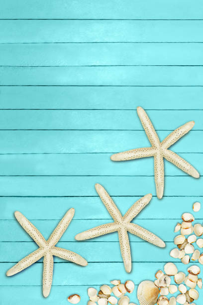 Aquamarine, turquoise, blue boards. Summer, sparing background. Pier, beach, marine. Copy space