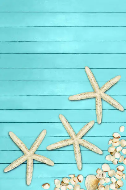 Aquamarine, turquoise, blue boards with starfish and shells. Travel, summer, spring background. Pier, beach. Marine flat lay. Copy space