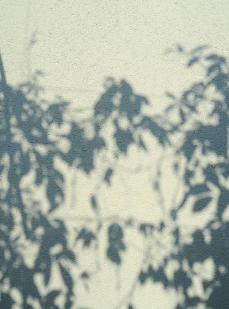 istock Defocused abstract background. Blurred shadows of trees on white background. 1320955029
