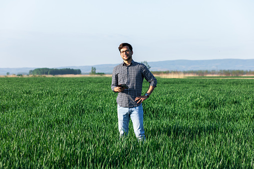 Young farmer standing in young wheat fields.