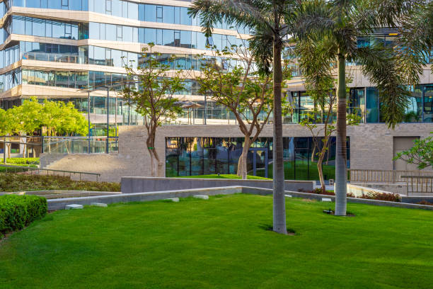 istock Lush lawn near modern glass building 1320956852