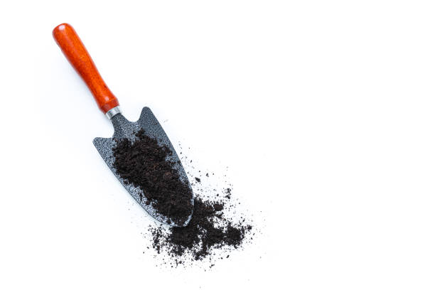 Gardening shovel and fork isolated .