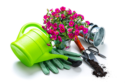 Home gardening tools: high angle view of green gardening equipment and flower pot isolated on white background.