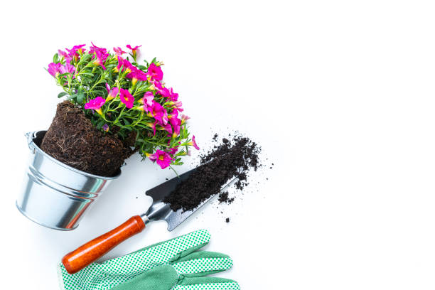 istock Flower pot, shovel with dirt and gloves isolated on white 1320959018