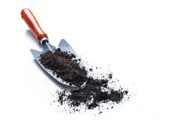istock Gardening shovel with dirt isolated on white 1320959735