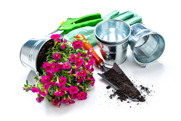 istock Potting: flower pot and gardening tools isolated on white 1320959772