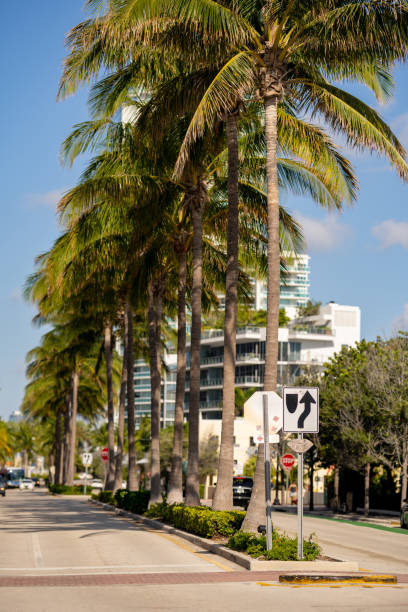 istock Street in Miami Beach with palm trees 1320960477