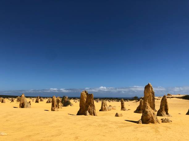 istock Deserts and Rocks Pinnacles of West Australia 1320960719