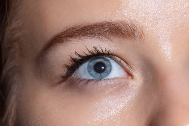 istock Close-up female face isolated on white studio background. Beautiful eyelashes and eyebrows. Concept of beauty. 1320961935