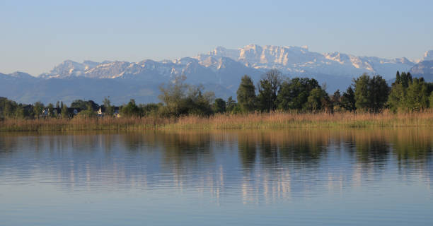 istock Shore of Lake Pfaffikon and snow covered mountain range. 1320962001