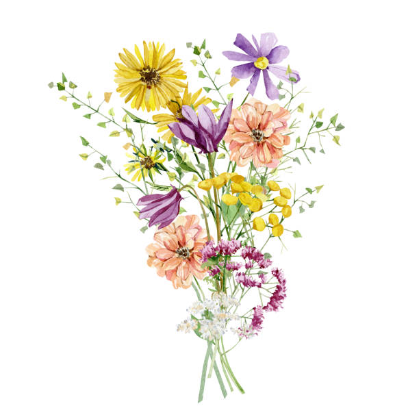 ilustrações, clipart, desenhos animados e ícones de aquarela brilhante buquê de flores silvestres. composição de arragement com flores silvestres brilhantes de prado, rosa, peônia, ervas, folhas, galhos, galhos, folhagens, folhas para convite de casamento, chá de noiva, chá de bebê, banner, logotipo - bouquet