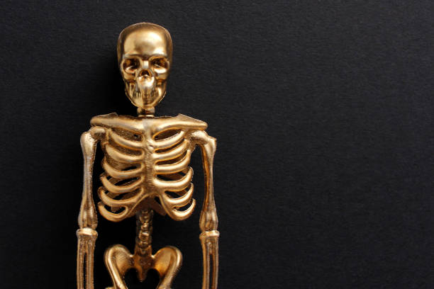 istock golden skeleton on a black background. Halloween concept 1320965930