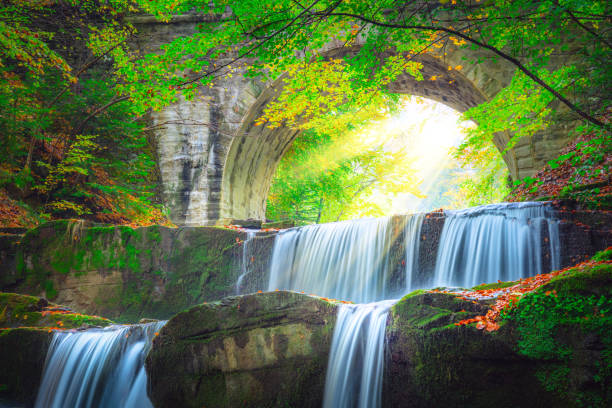 istock landscape - river waterfall in colorful mountain forest park  with old bridge and sun 1320966084