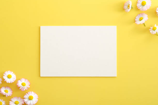 白紙カードのモックアップとチャモマイルの花が黄色の背景に表示されます。フラットレイ、トップビュー、コピースペース。母の日、誕生日、女性の日のためのグリーティングカード - invitation birthday card creativity ideas ストックフォトと画像