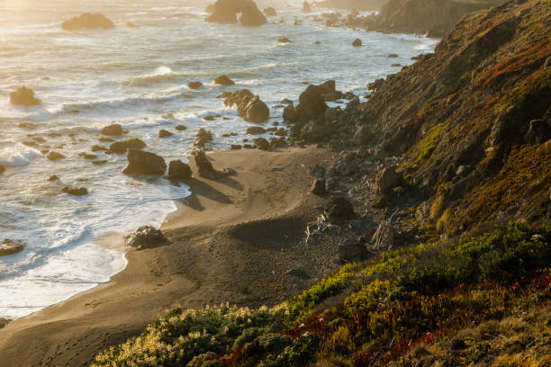 istock Coastline with rocks, waves and beach 1320970909