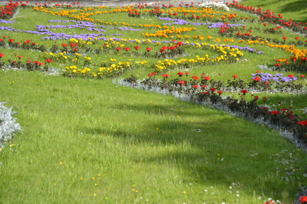istock Flowers and greenery with a very nice ambience on a sunny day with sunlight 1320971940