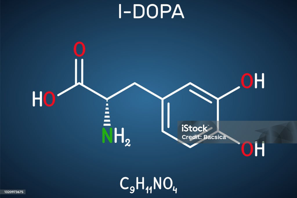Dopa Ldopa Levodopa Molecule It Is An Amino Acid Is Used To Increase ...