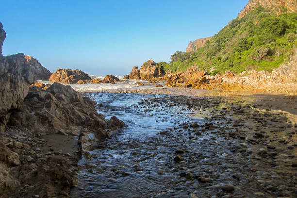 istock Shallow rocky stream on its way to the ocean 1320976486
